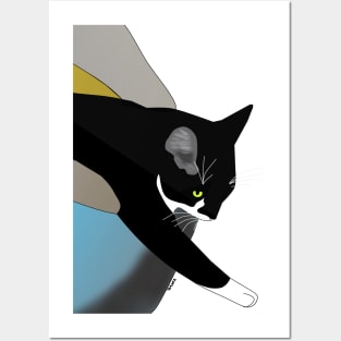 Cute Tuxedo Cat needs a bigger Igloo bed Copyright TeAnne Posters and Art